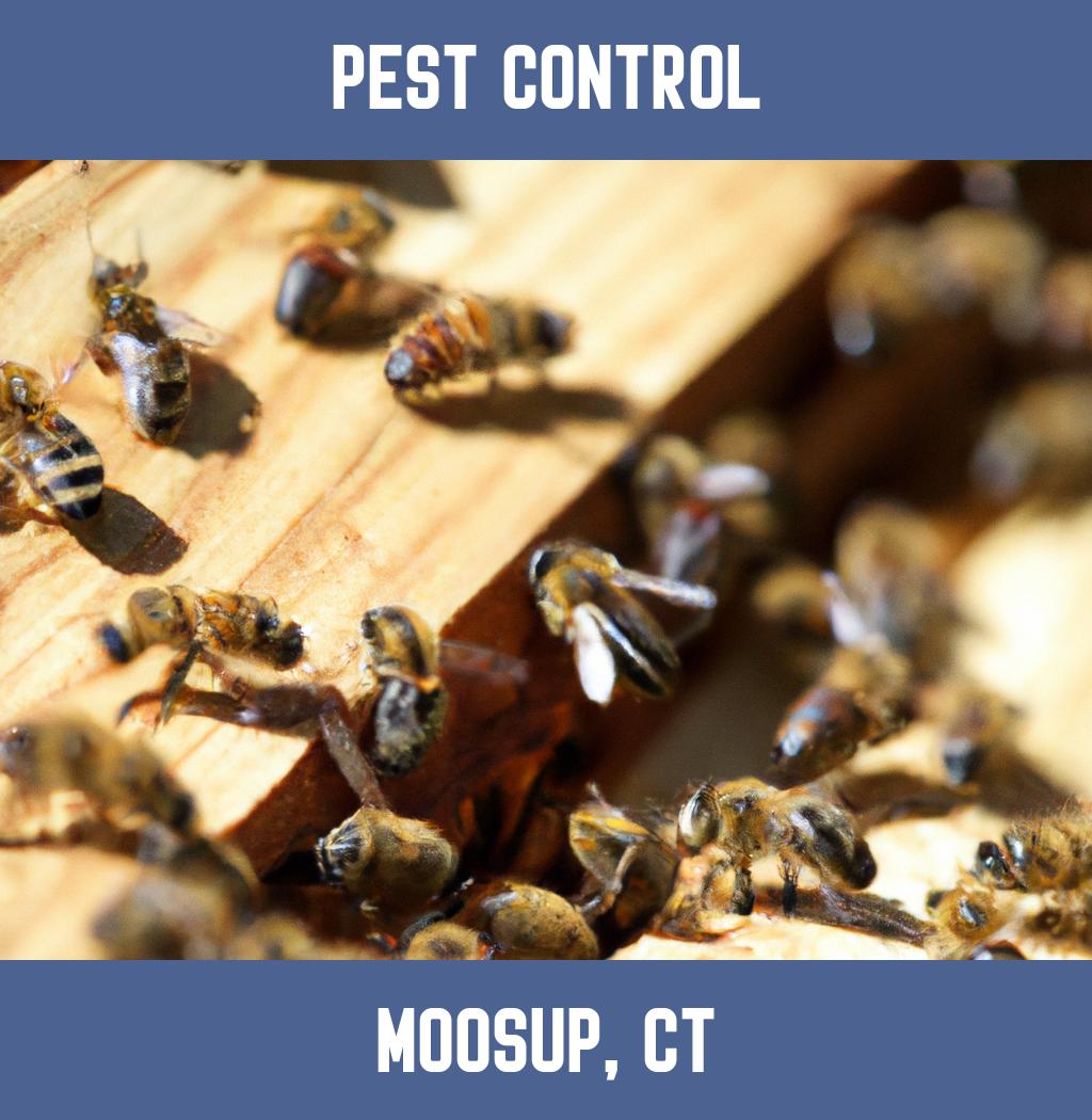 pest control in Moosup Connecticut