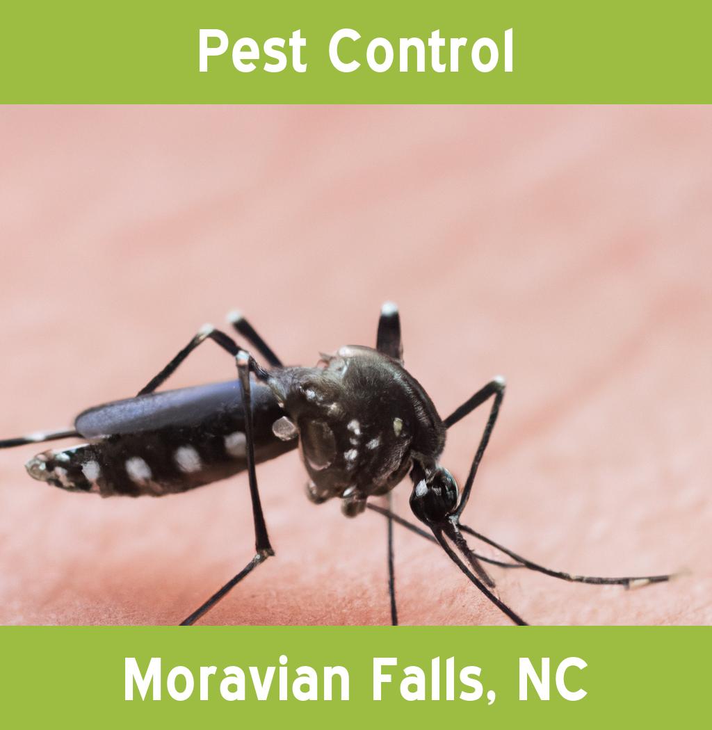 pest control in Moravian Falls North Carolina