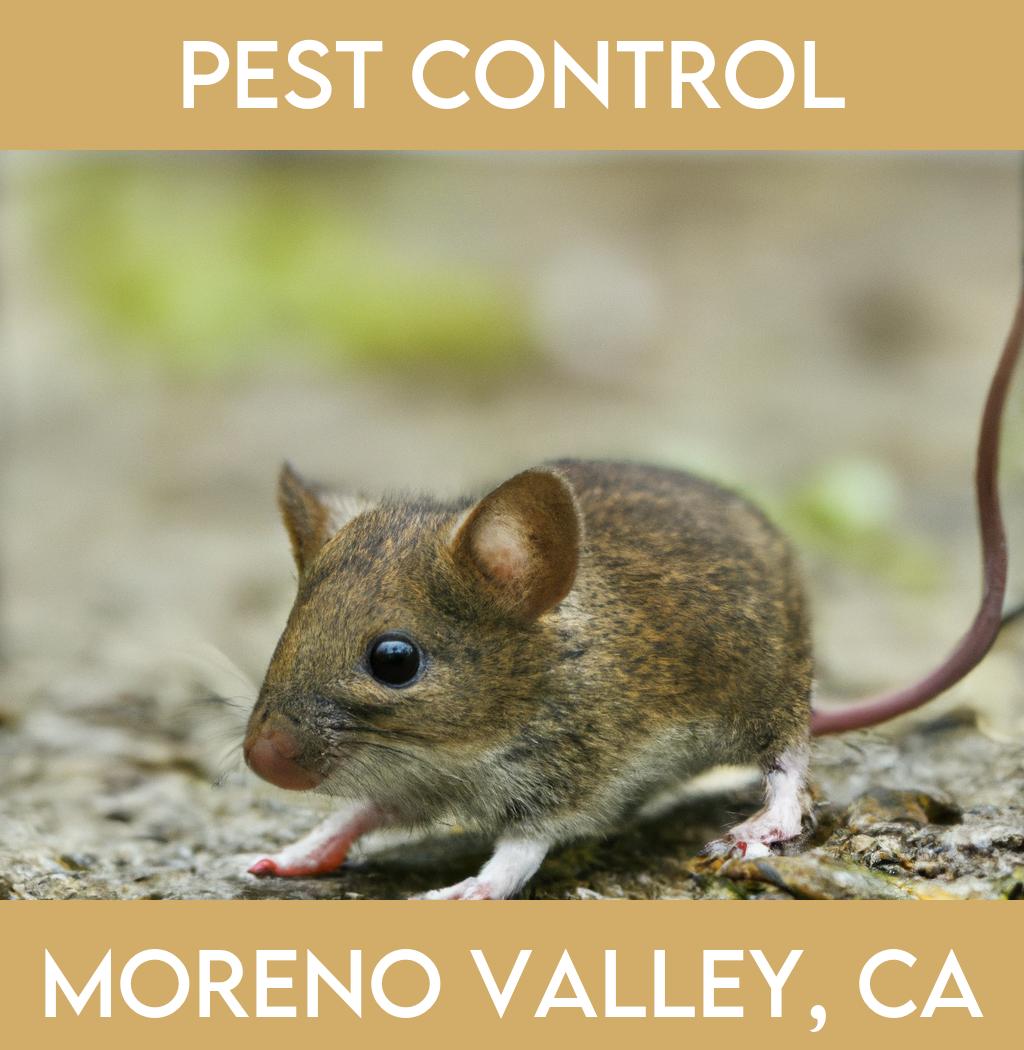pest control in Moreno Valley California