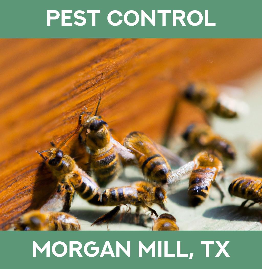 pest control in Morgan Mill Texas
