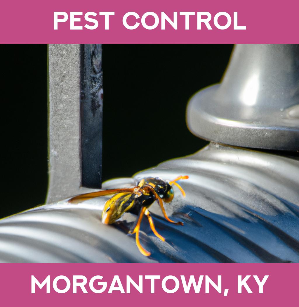 pest control in Morgantown Kentucky