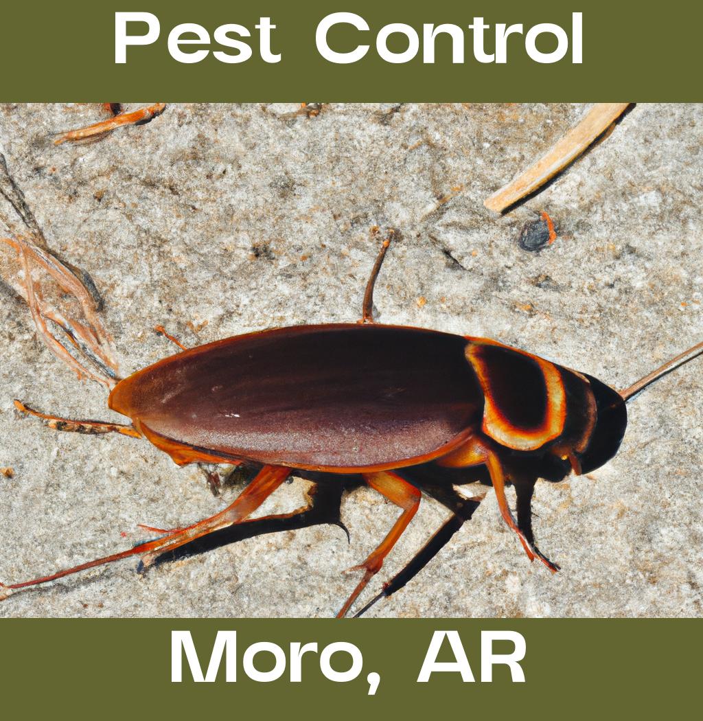 pest control in Moro Arkansas