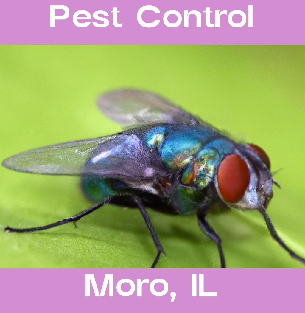 pest control in Moro Illinois