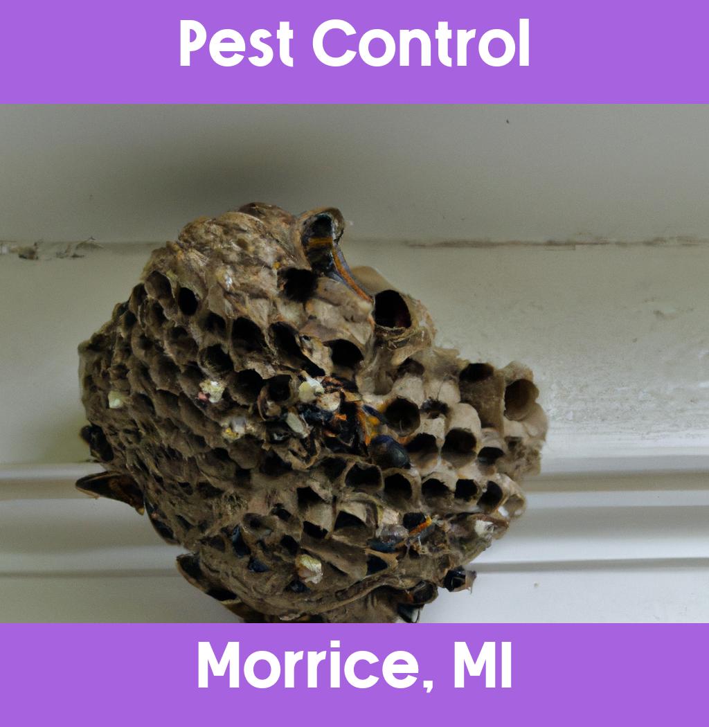 pest control in Morrice Michigan