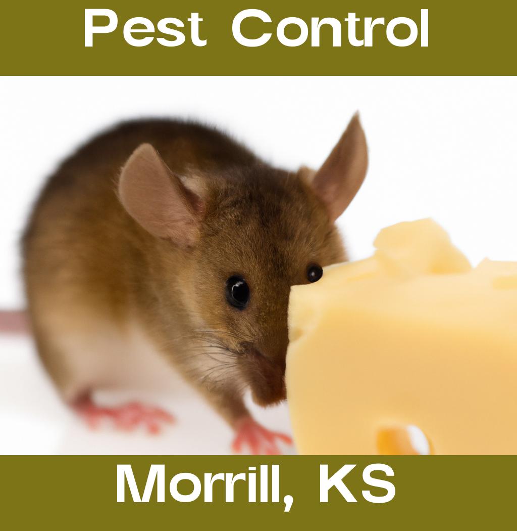 pest control in Morrill Kansas