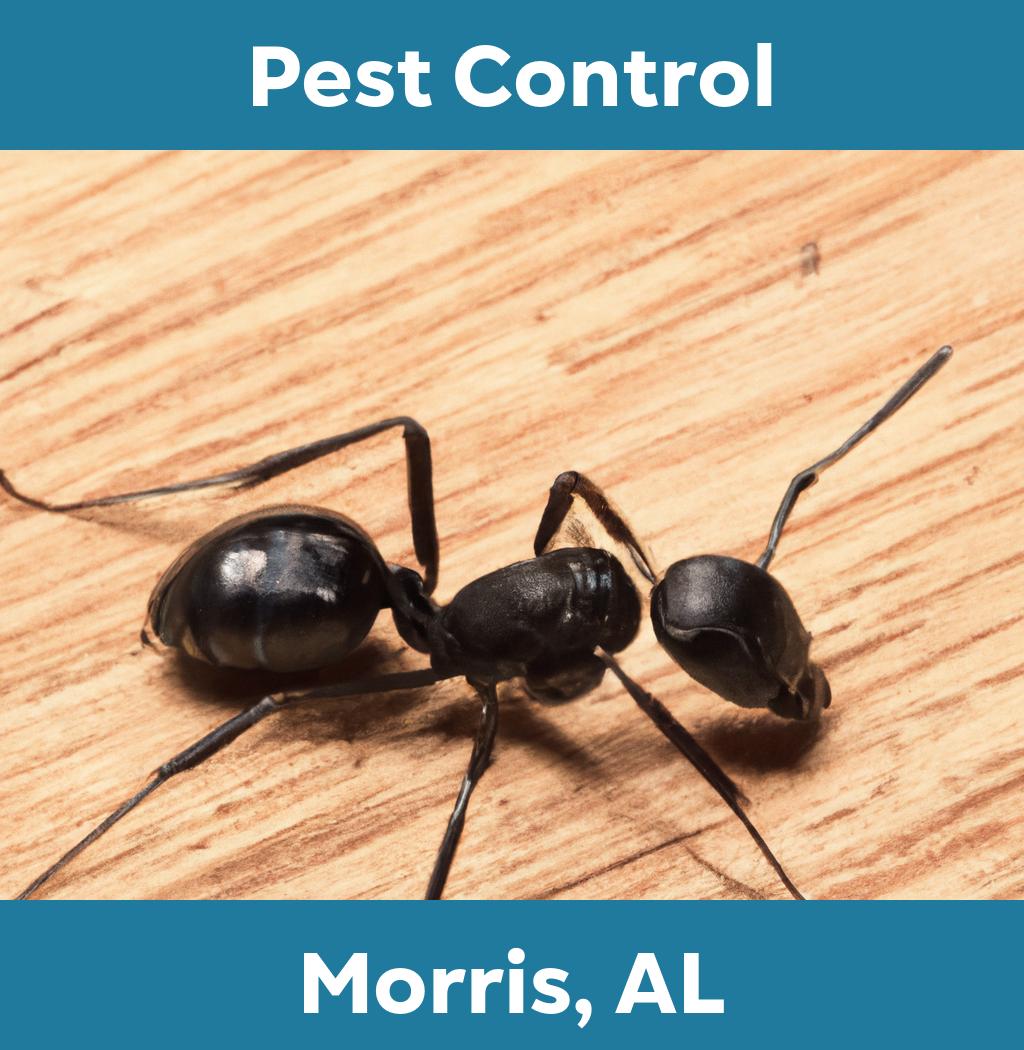 pest control in Morris Alabama