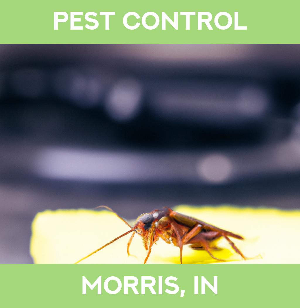 pest control in Morris Indiana