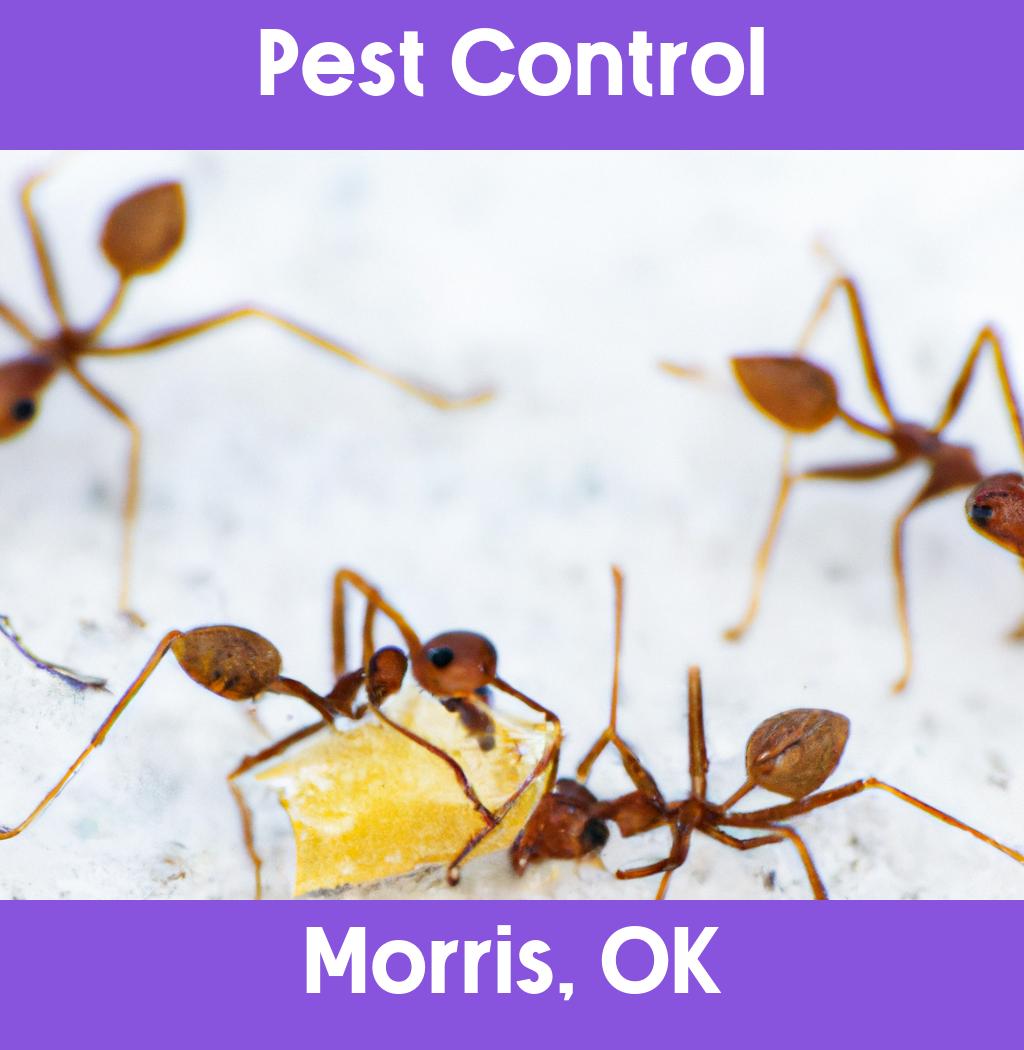 pest control in Morris Oklahoma