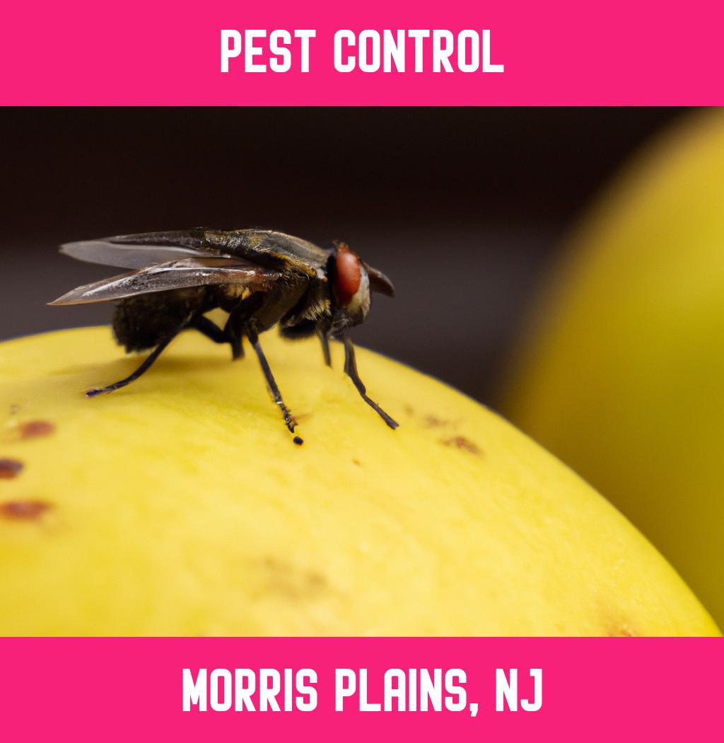 pest control in Morris Plains New Jersey