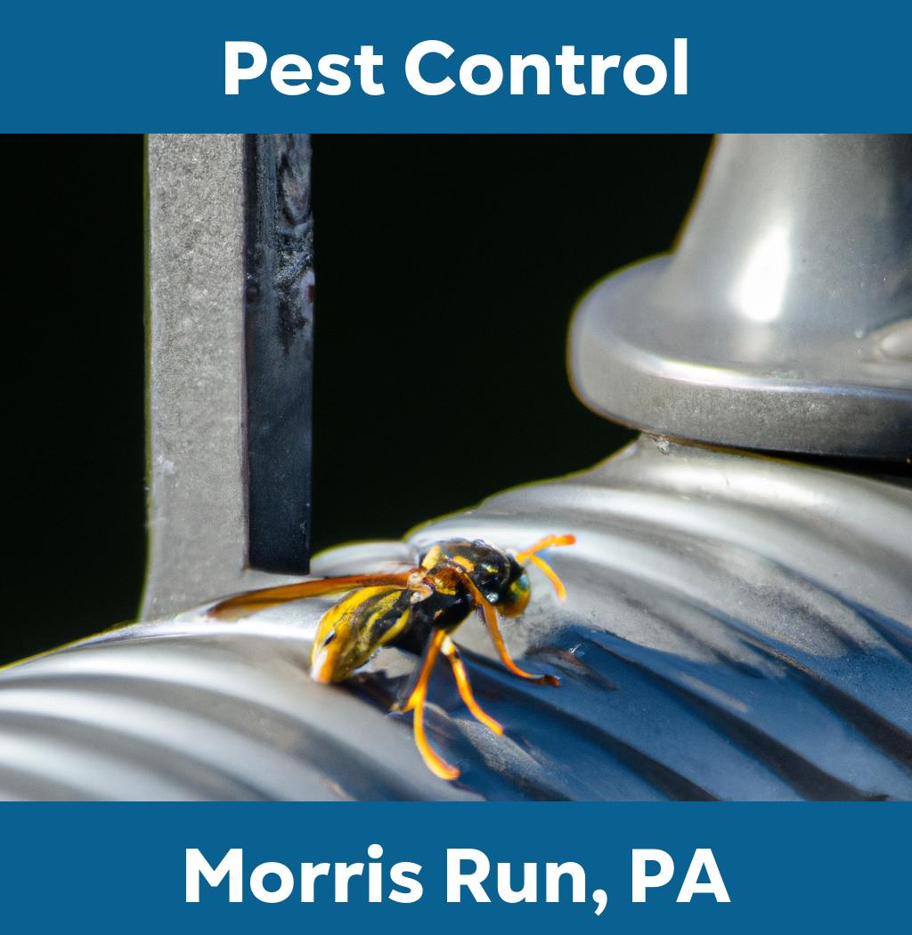 pest control in Morris Run Pennsylvania