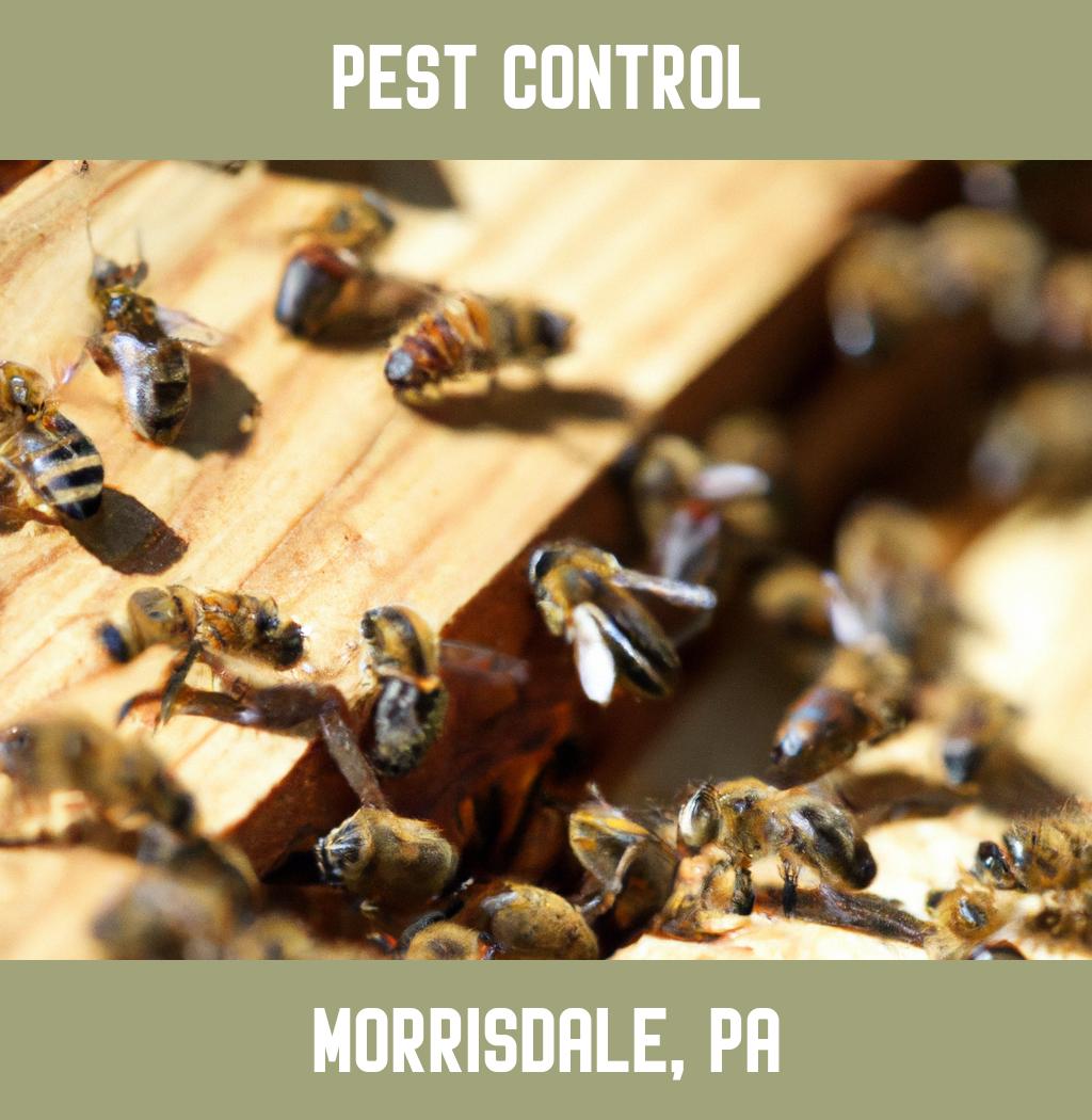 pest control in Morrisdale Pennsylvania