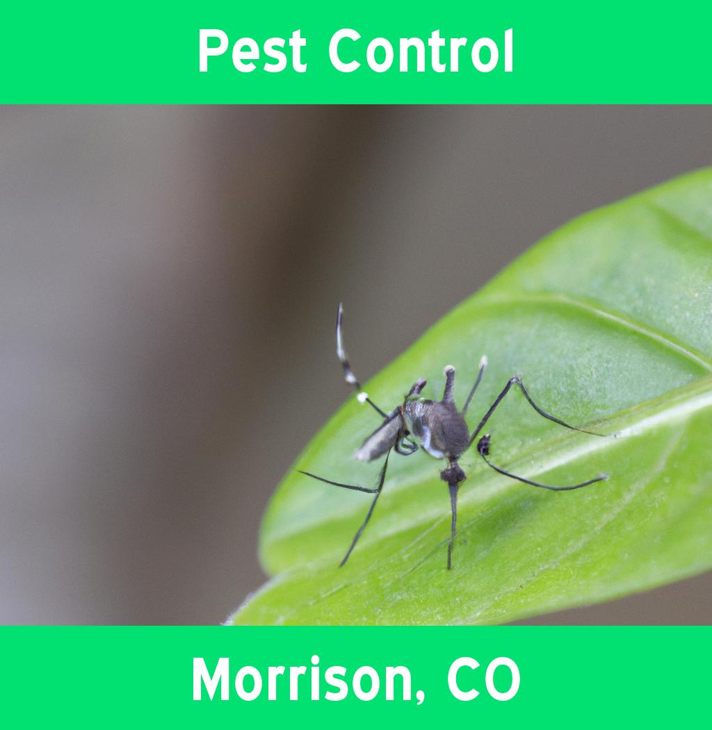 pest control in Morrison Colorado