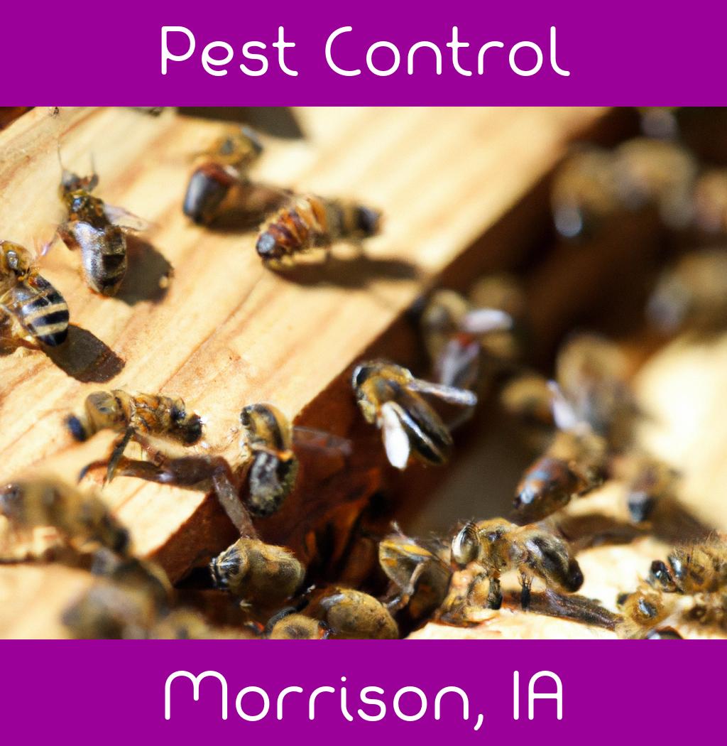 pest control in Morrison Iowa
