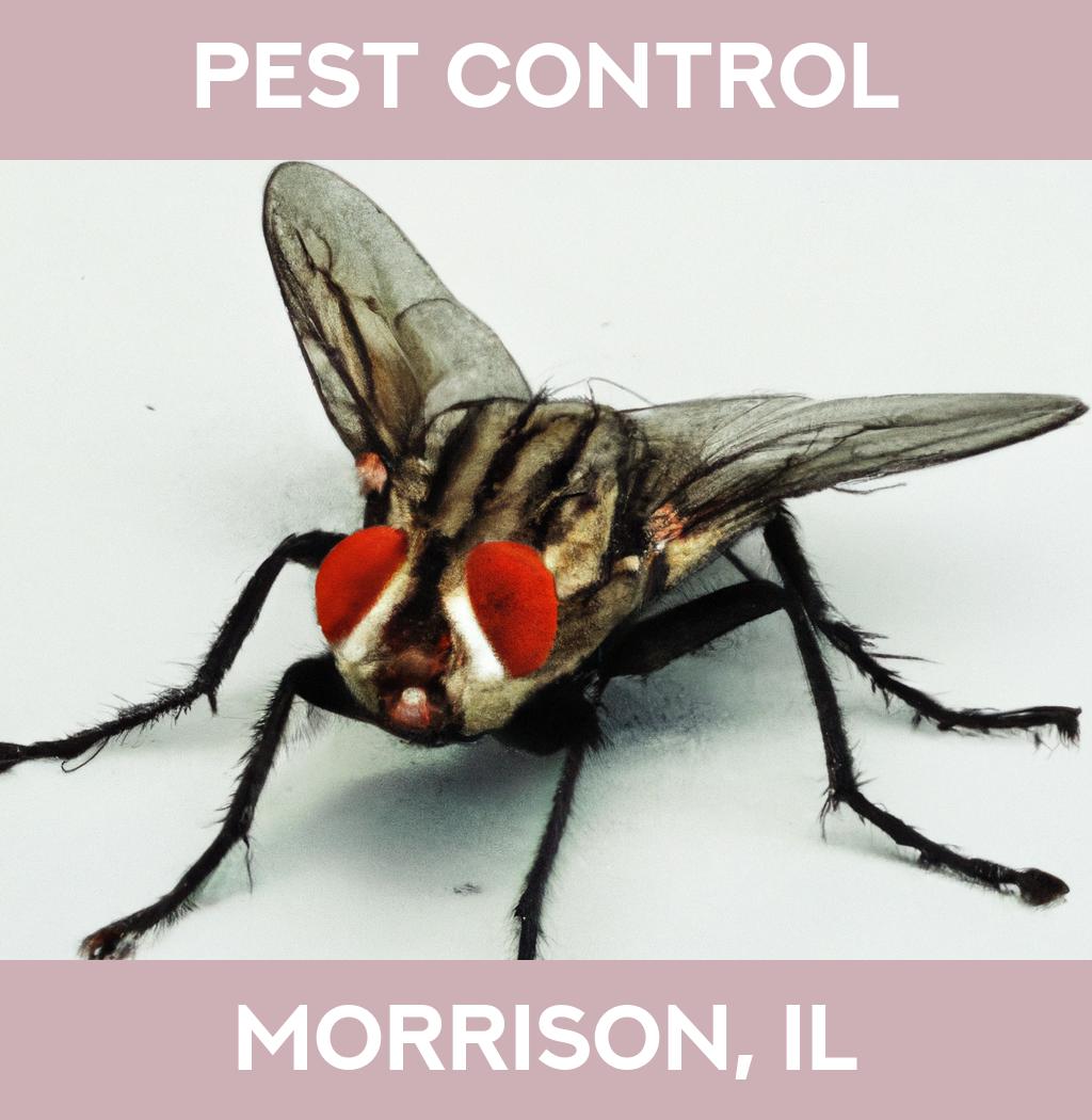 pest control in Morrison Illinois