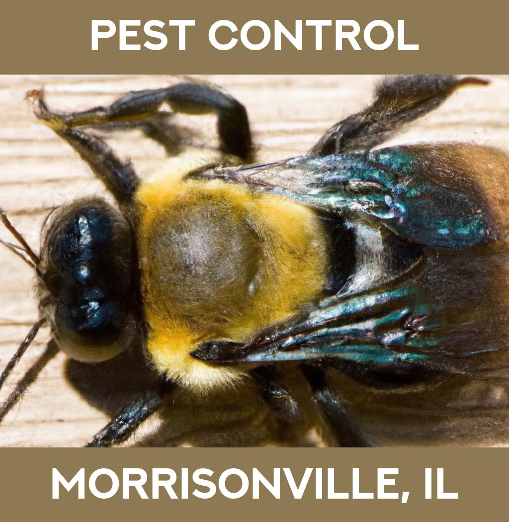 pest control in Morrisonville Illinois