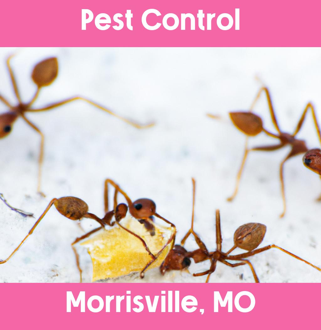 pest control in Morrisville Missouri