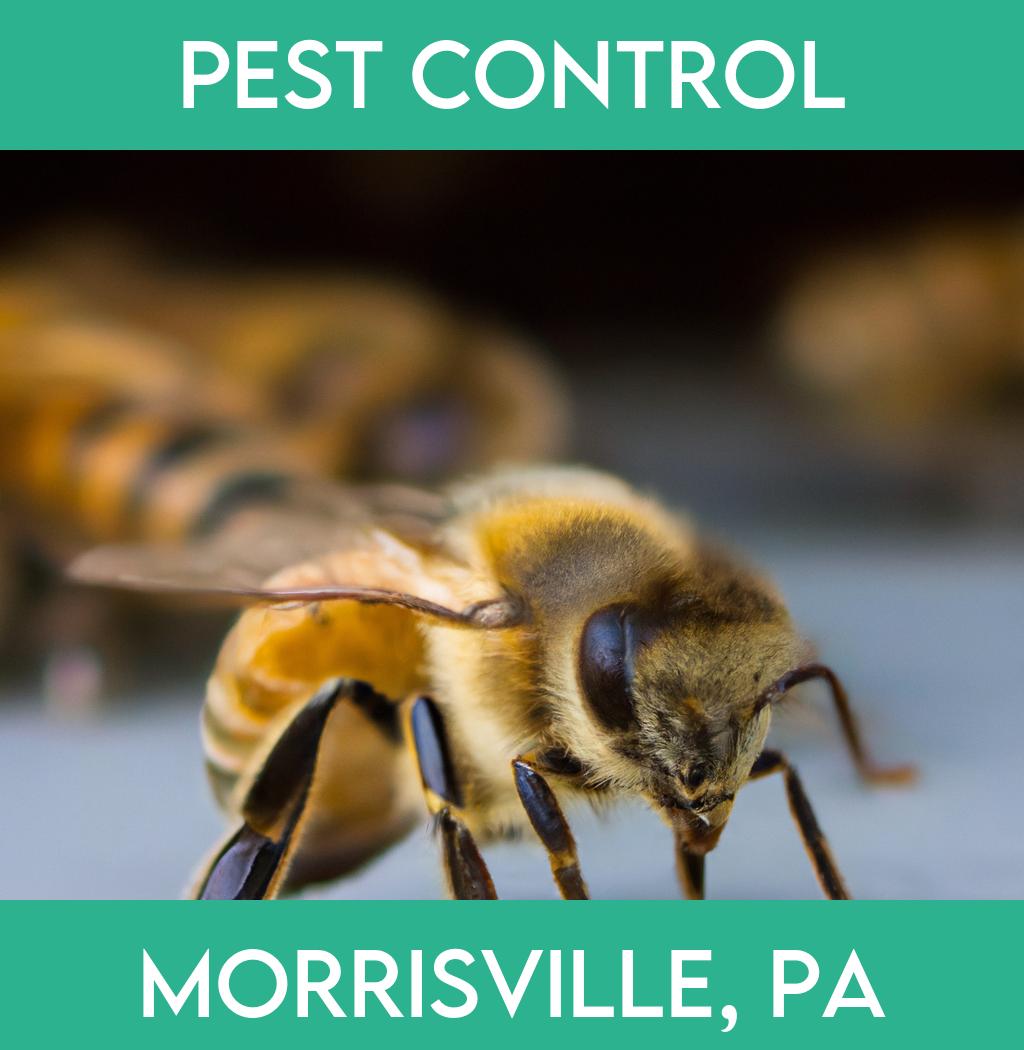 pest control in Morrisville Pennsylvania
