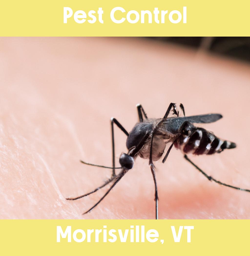 pest control in Morrisville Vermont