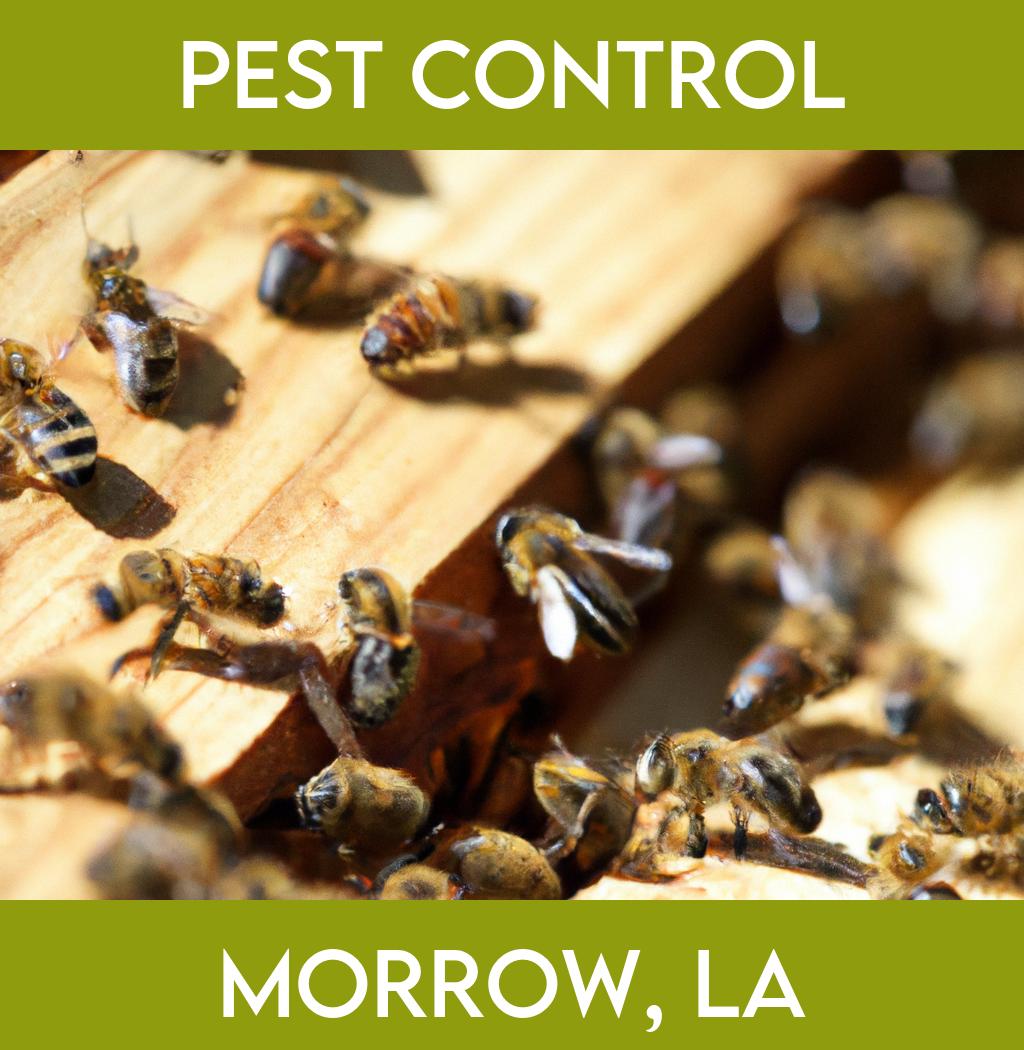 pest control in Morrow Louisiana