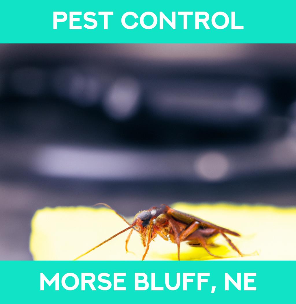 pest control in Morse Bluff Nebraska