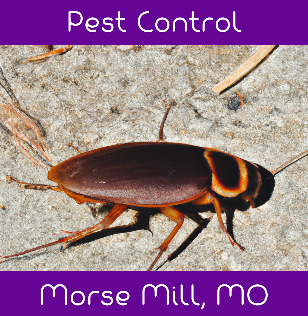pest control in Morse Mill Missouri