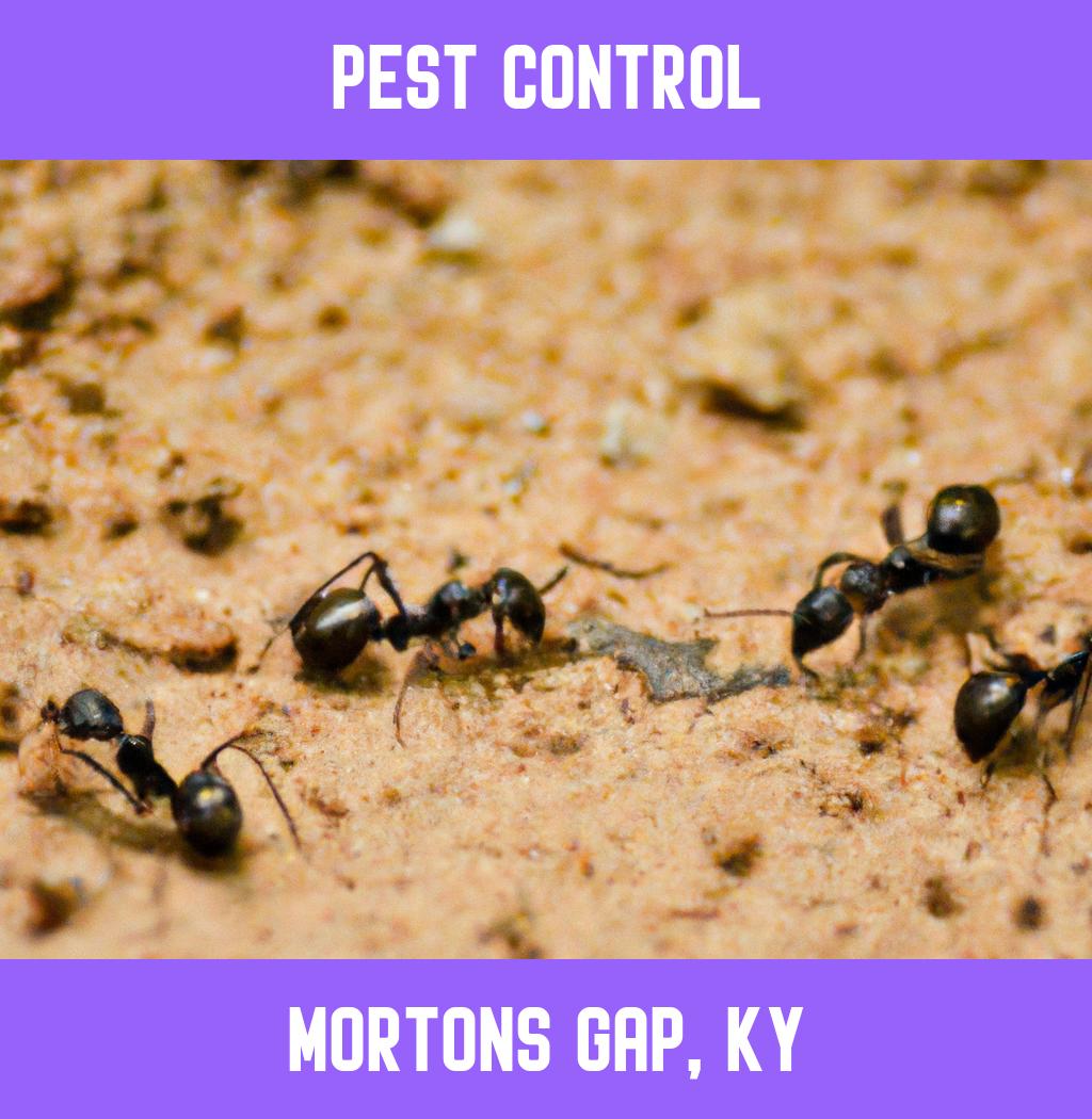 pest control in Mortons Gap Kentucky