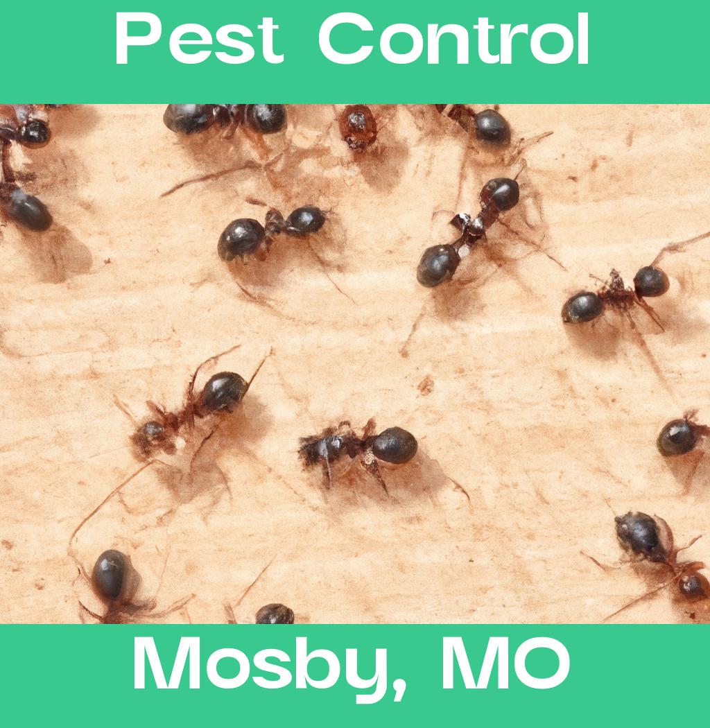 pest control in Mosby Missouri