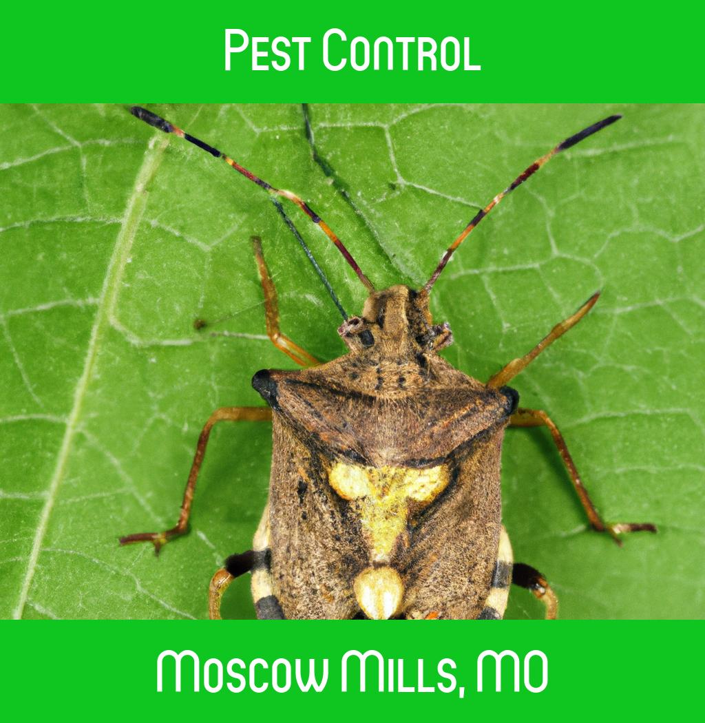 pest control in Moscow Mills Missouri