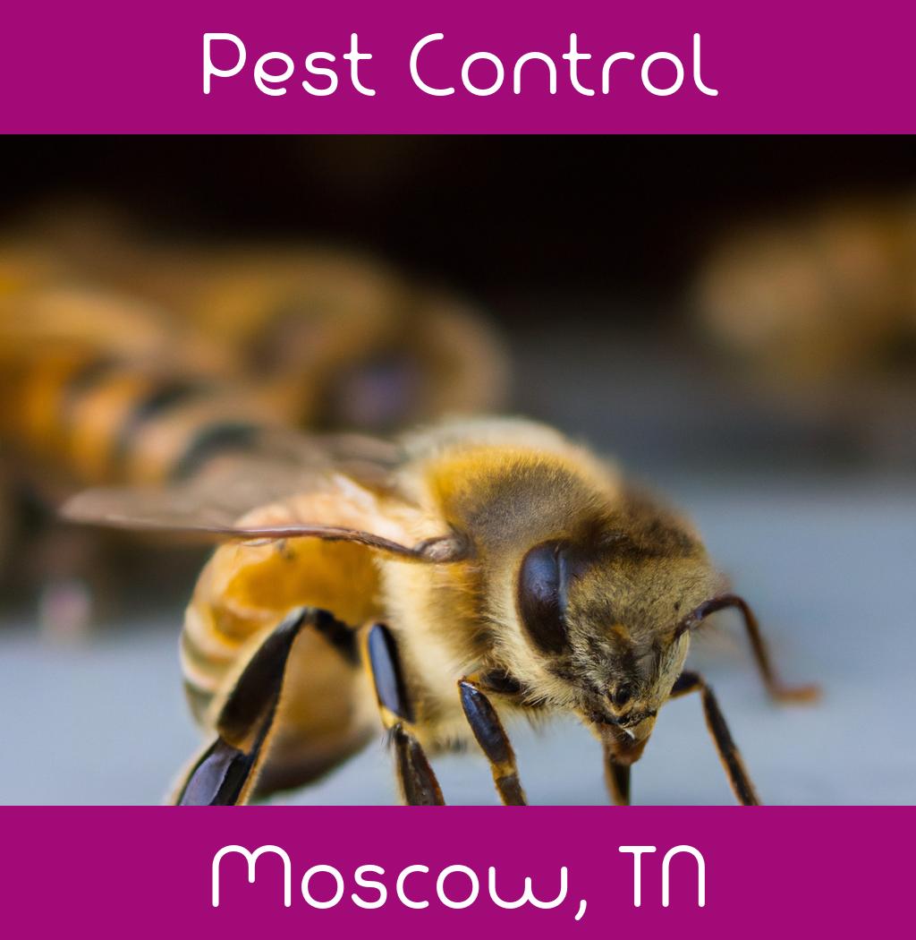 pest control in Moscow Tennessee