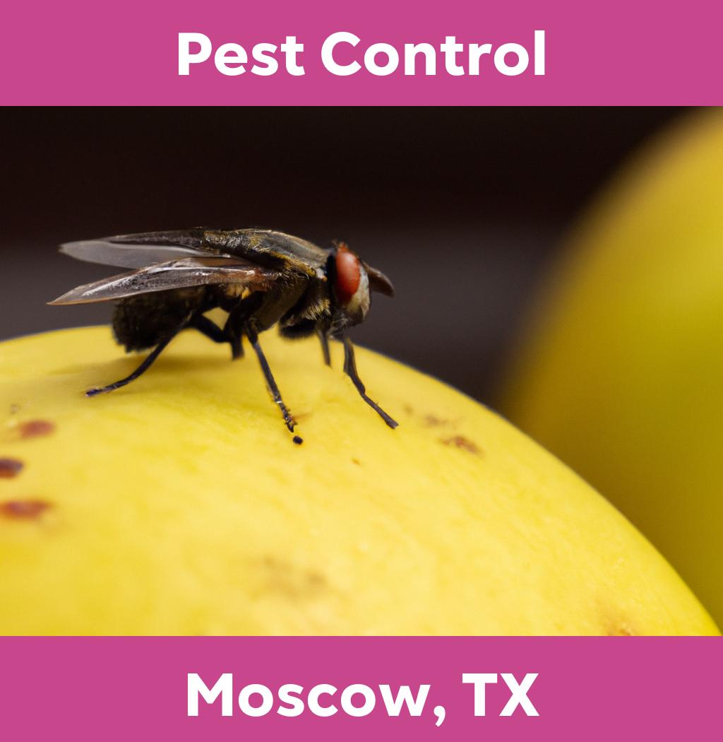 pest control in Moscow Texas