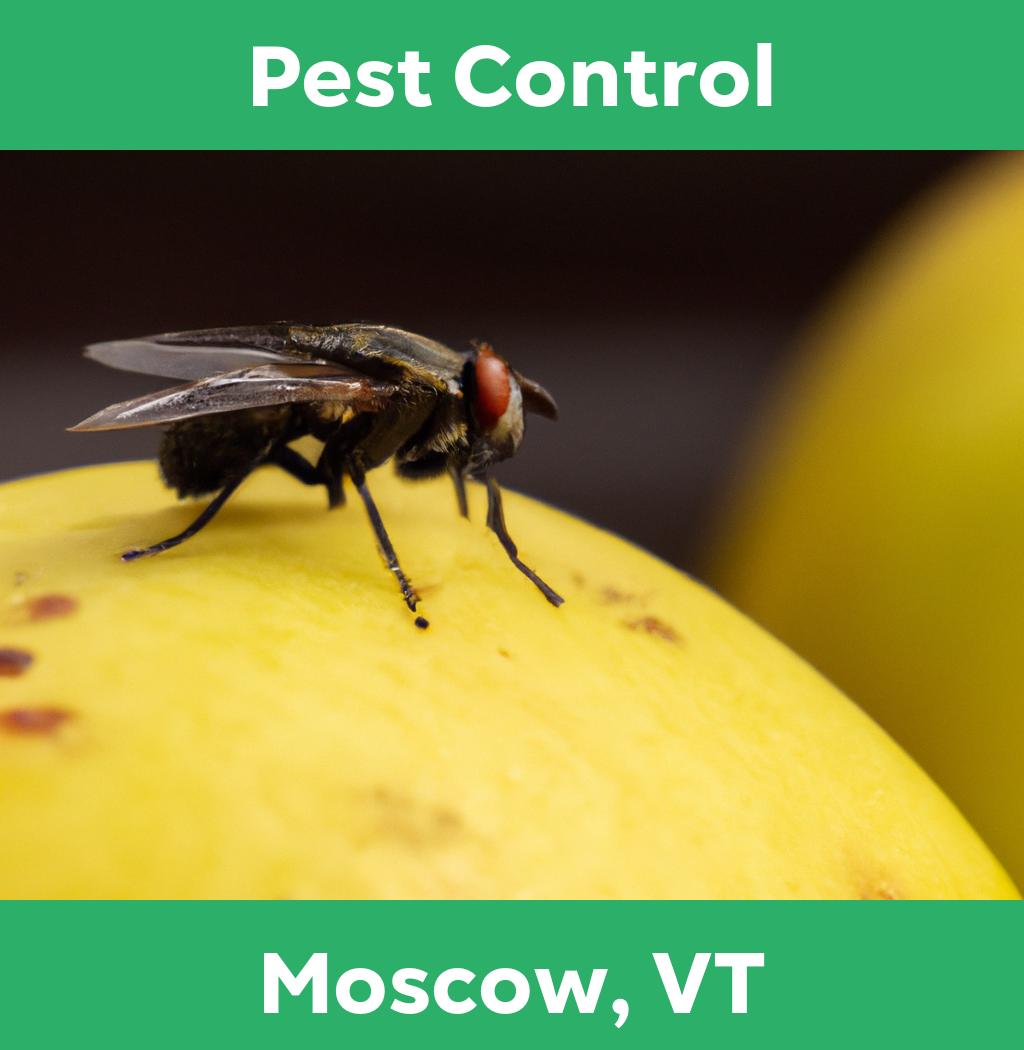 pest control in Moscow Vermont