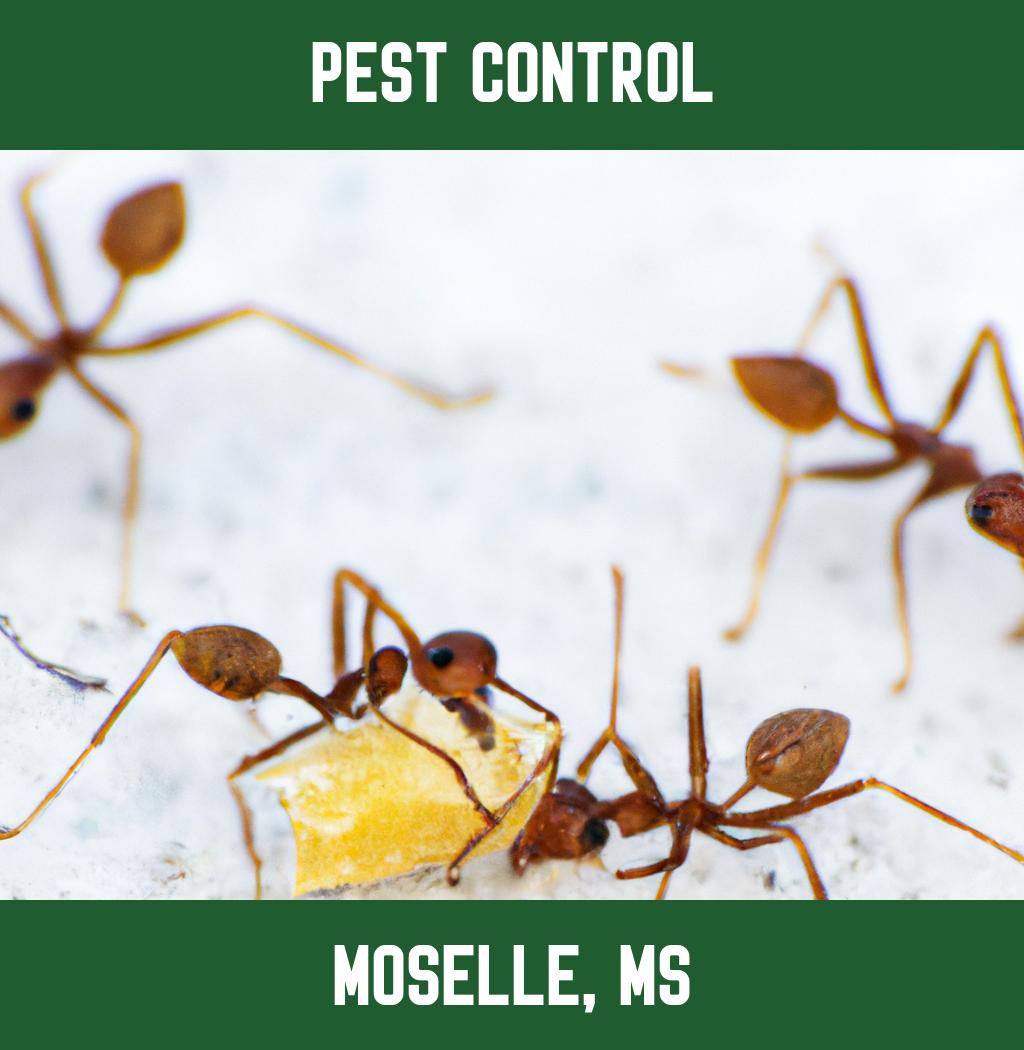 pest control in Moselle Mississippi