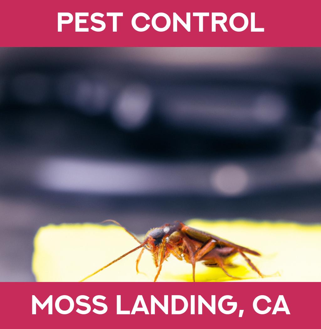 pest control in Moss Landing California