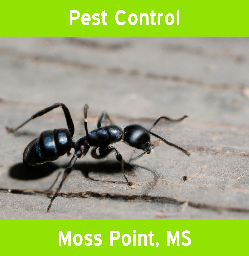 pest control in Moss Point Mississippi