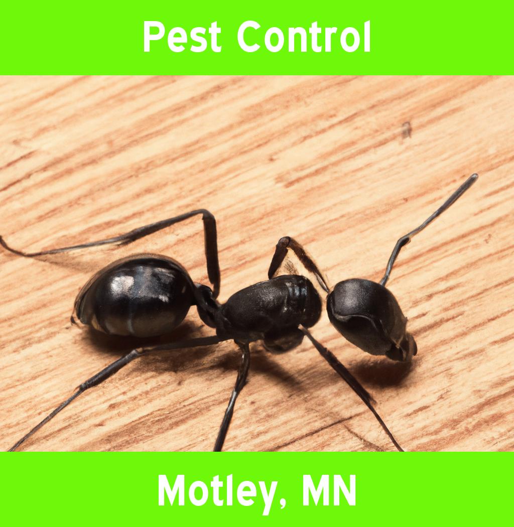 pest control in Motley Minnesota