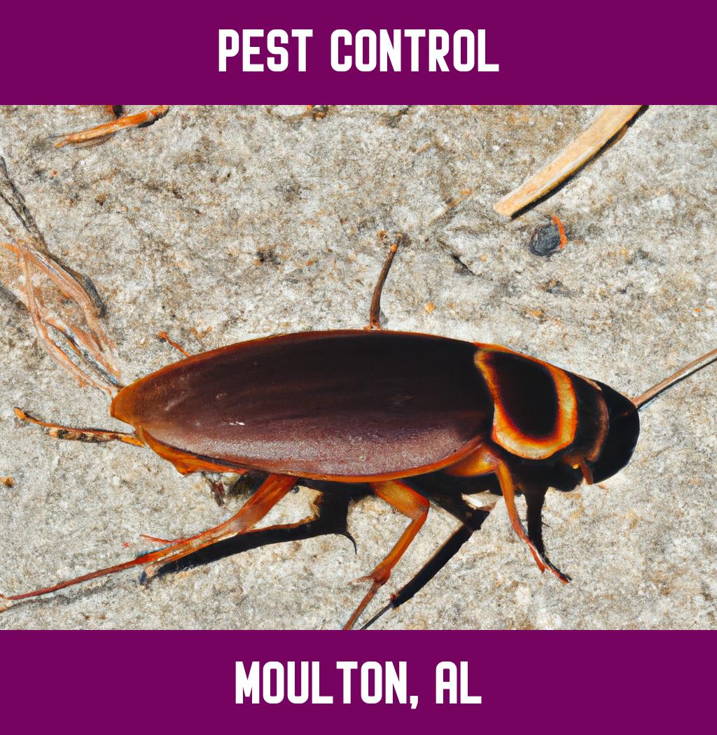 pest control in Moulton Alabama
