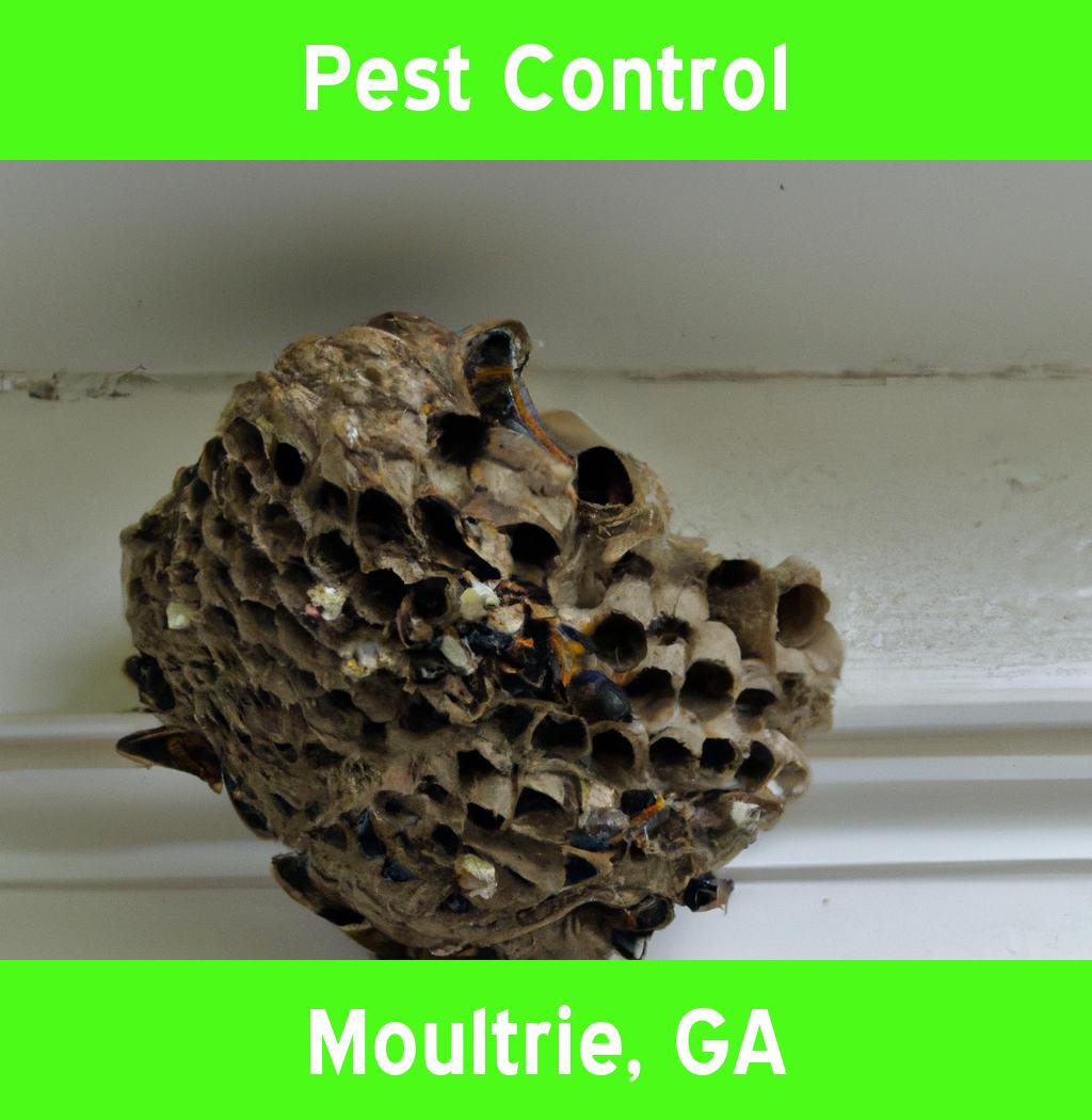 pest control in Moultrie Georgia