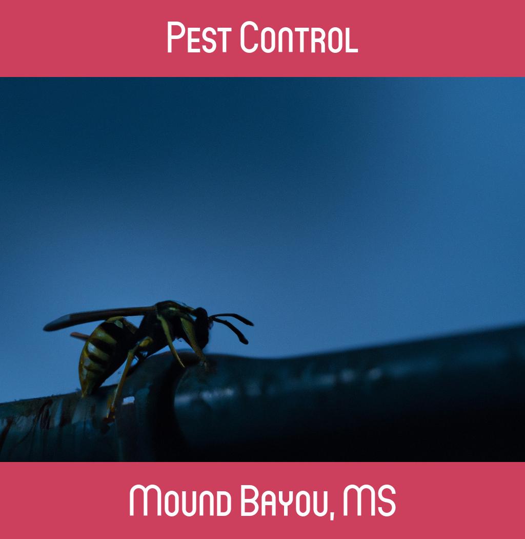 pest control in Mound Bayou Mississippi