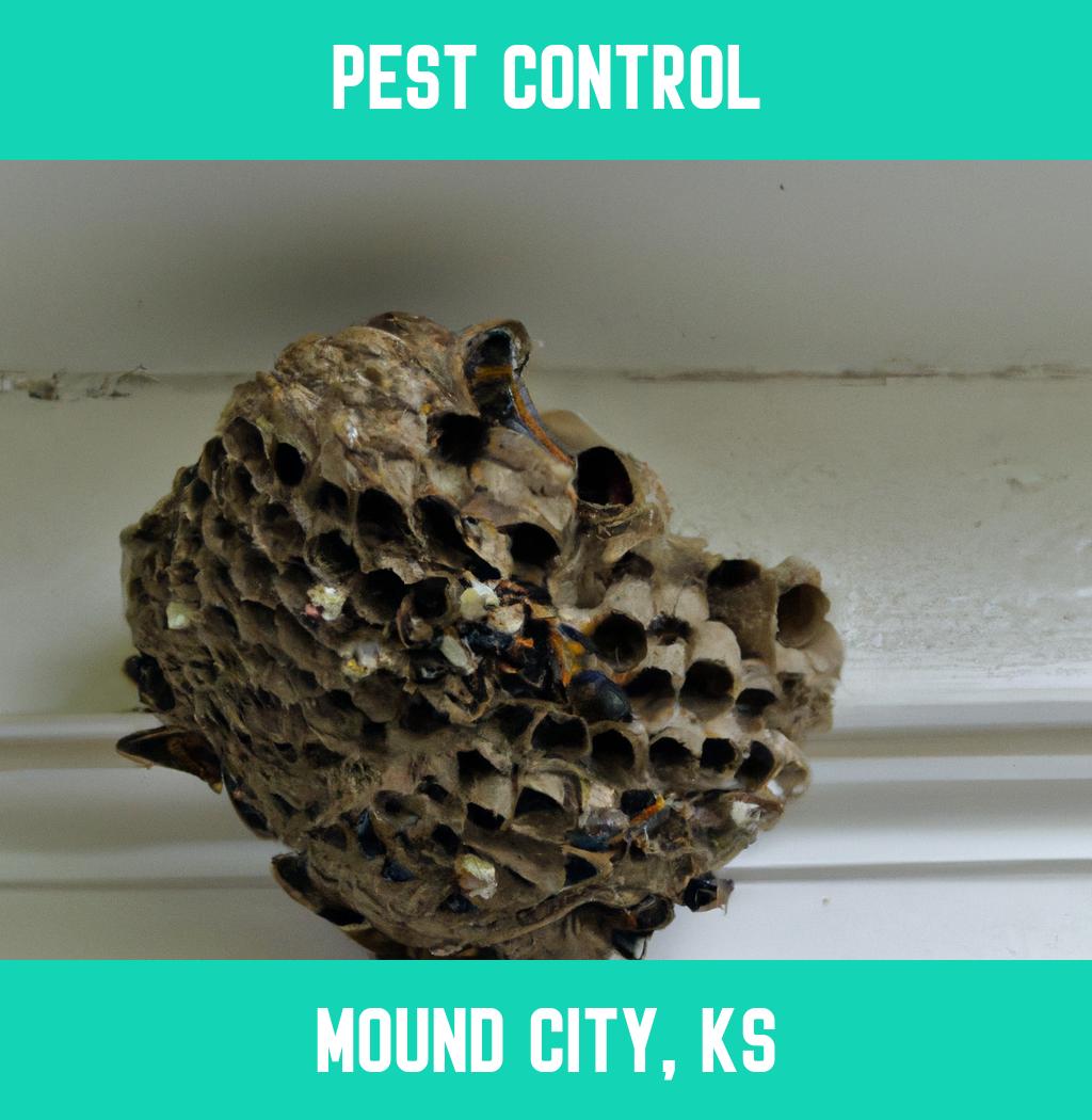 pest control in Mound City Kansas