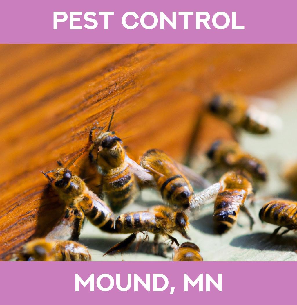 pest control in Mound Minnesota