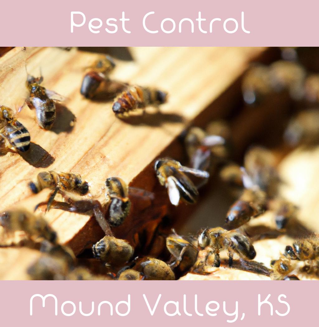 pest control in Mound Valley Kansas