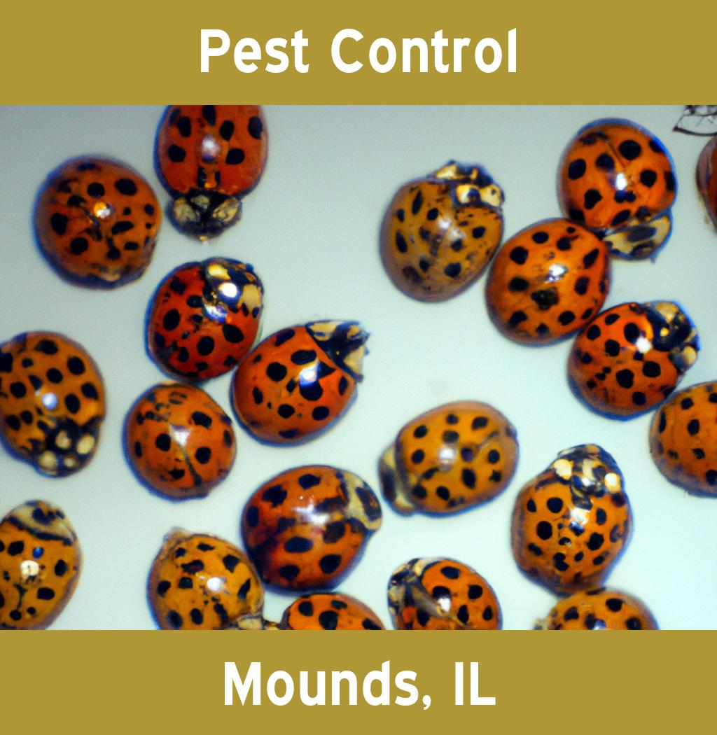 pest control in Mounds Illinois