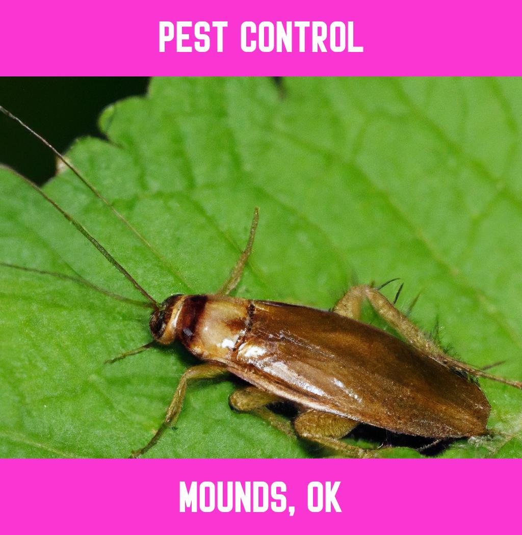 pest control in Mounds Oklahoma