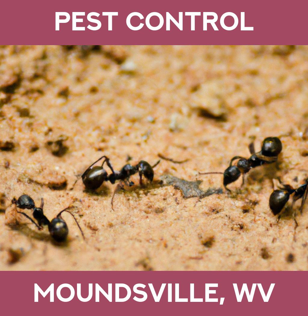 pest control in Moundsville West Virginia