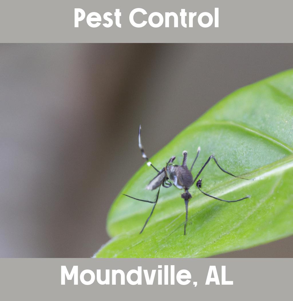 pest control in Moundville Alabama
