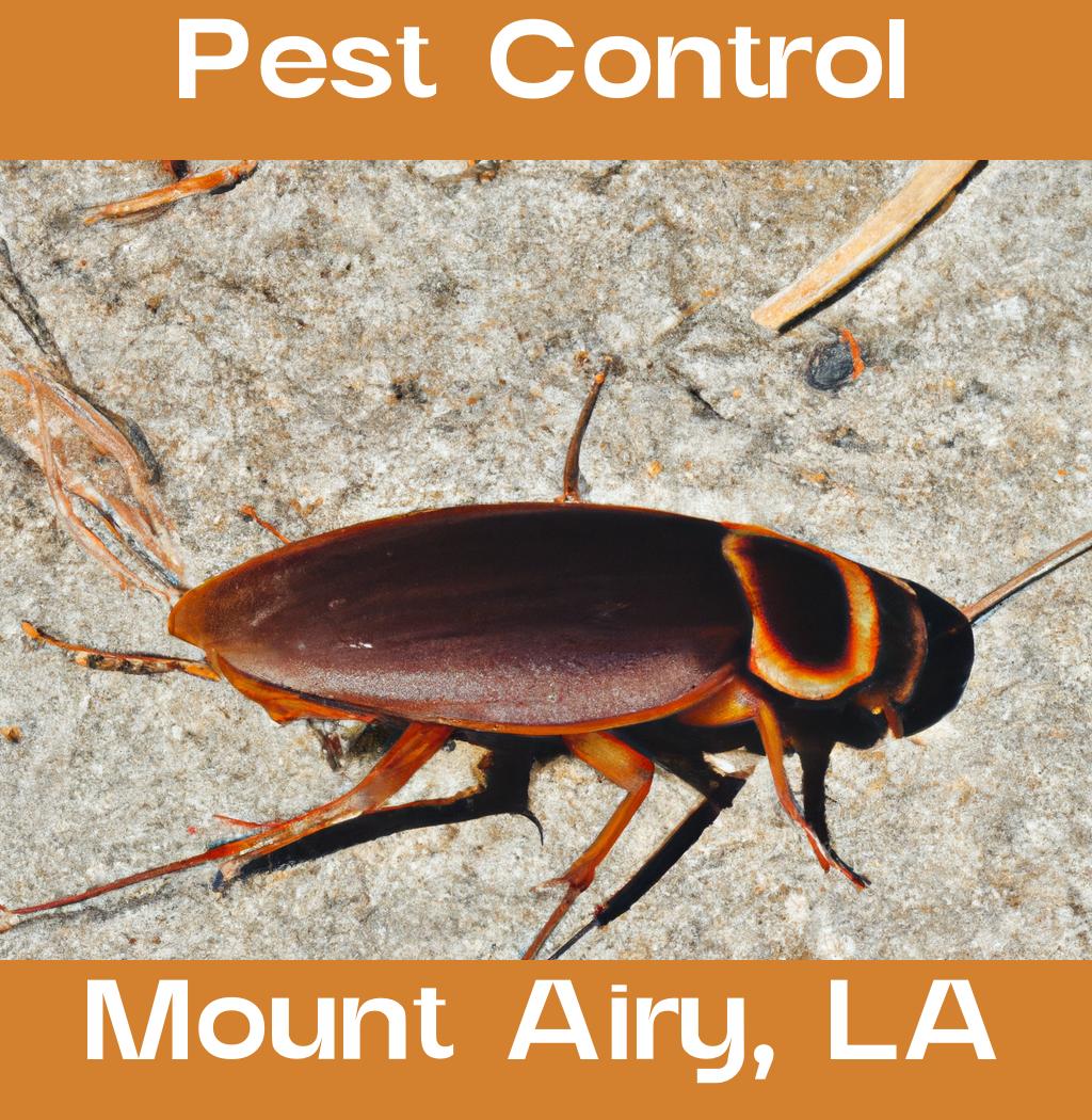 pest control in Mount Airy Louisiana