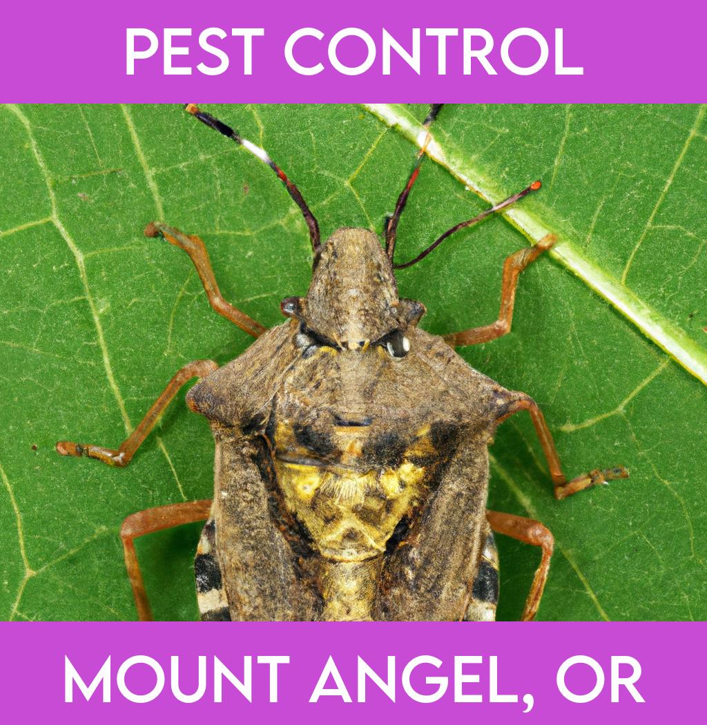 pest control in Mount Angel Oregon