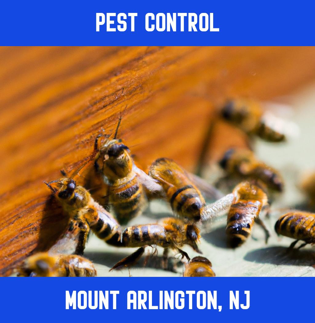 pest control in Mount Arlington New Jersey