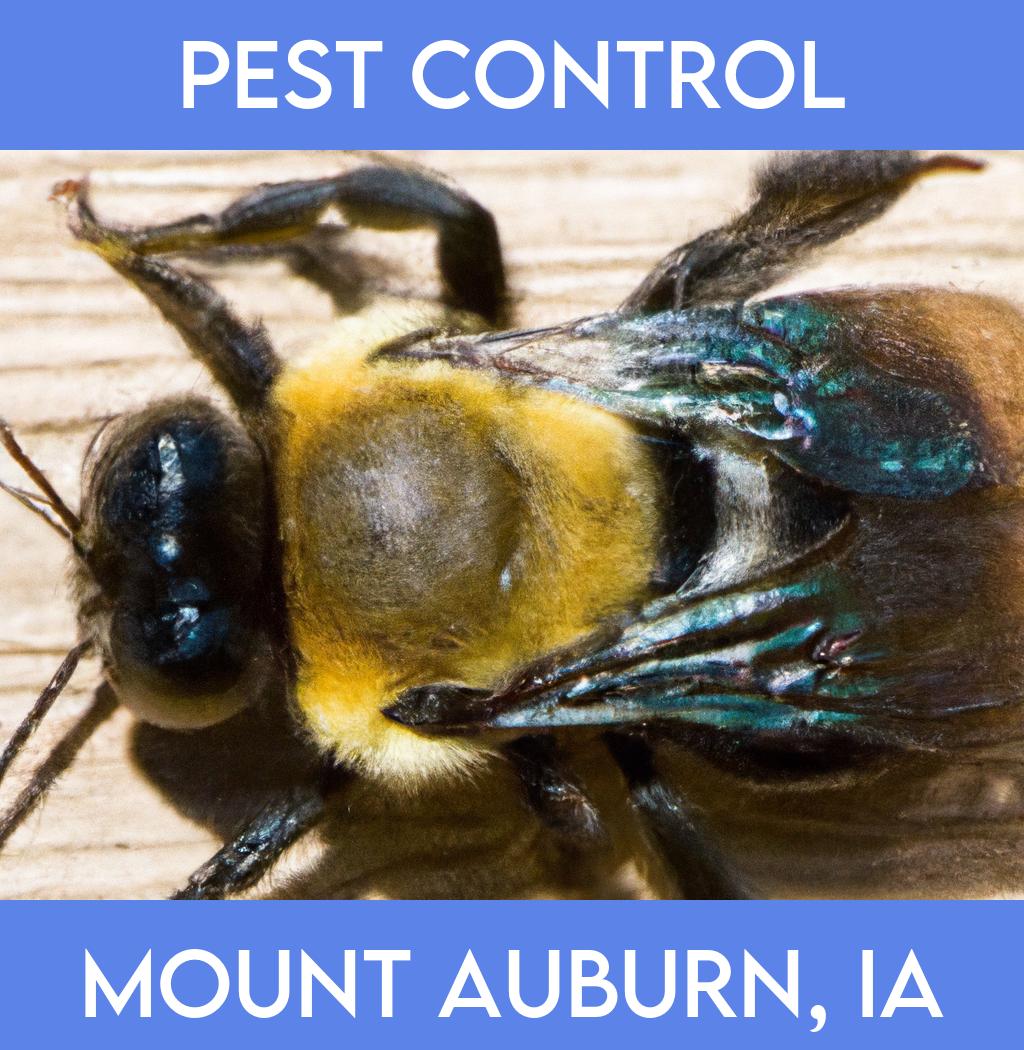 pest control in Mount Auburn Iowa