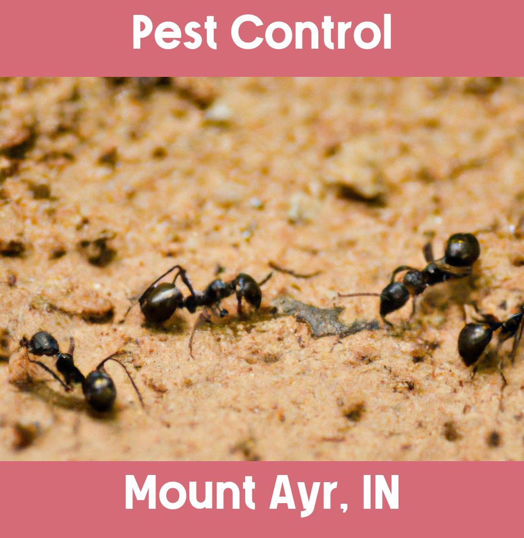 pest control in Mount Ayr Indiana